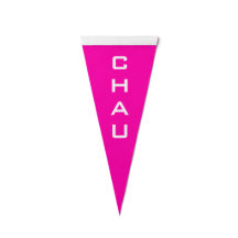 Personalized Bowling Champion 4-Letter Last Name