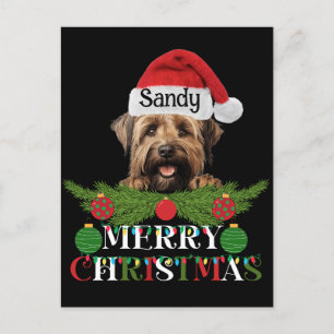 Personalized Briard Dog Merry Christmas Holiday Postcard