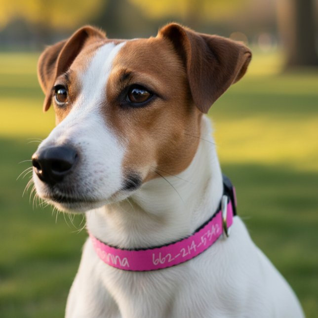 Personalized Bright Color Name Phone Number Pet Collar (Creator Uploaded)