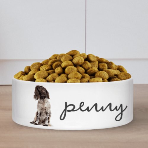 Personalized Brittany Dog Food Bowl