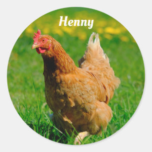 Personalized Brown Chicken in the grass Classic Round Sticker