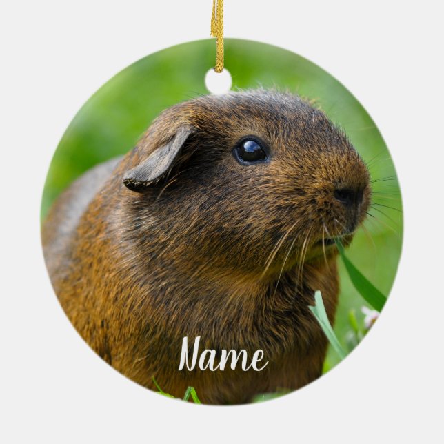 Personalized Brown Guinea Pig Ceramic Ornament (Back)