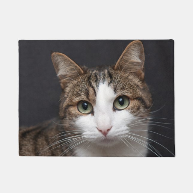 Personalized Brown Tabby Cat Single Pet Photo Doormat (Front)