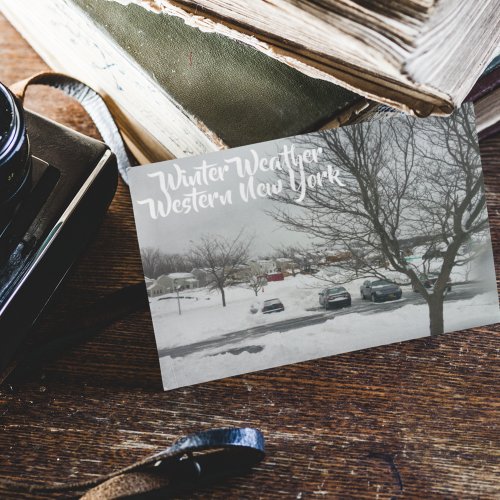 Personalized Buffalo Images Winter Storm Postcard
