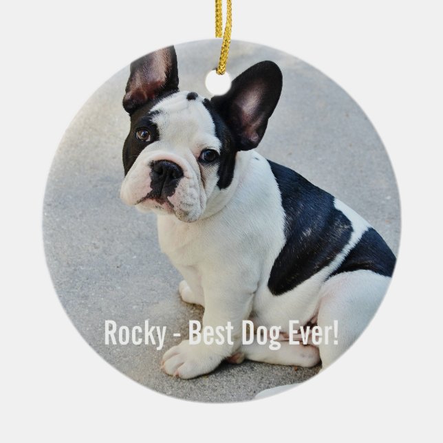 Personalized Bulldog Photo and Bulldog Name Ceramic Ornament (Front)
