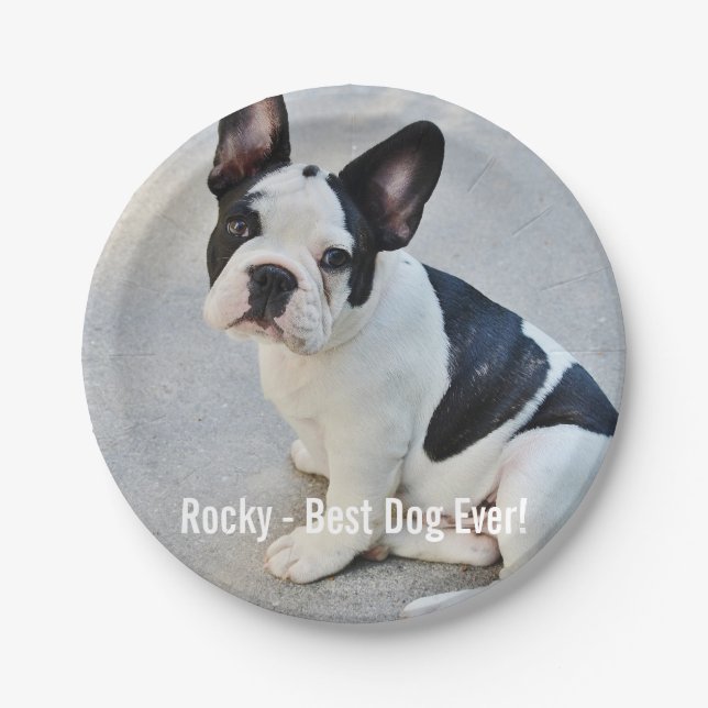 Personalized Bulldog Photo and Bulldog Name Paper Plates (Front)