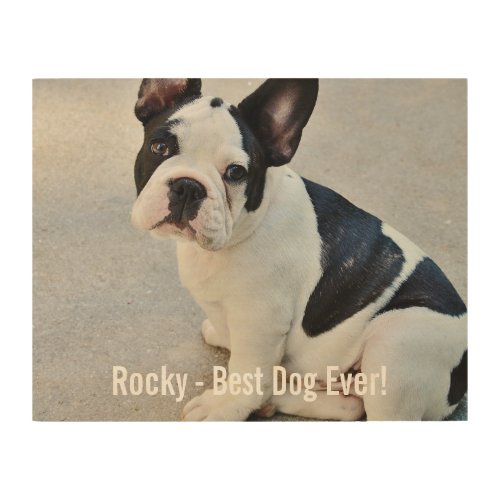 Personalized Bulldog Photo and Bulldog Name Wood Wall Art