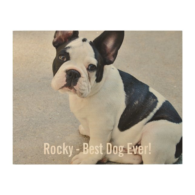 Personalized Bulldog Photo and Bulldog Name Wood Wall Art (Front)