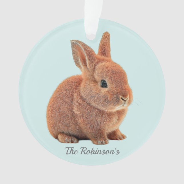 Personalized Bunny on Light Blue Ornament (Front)