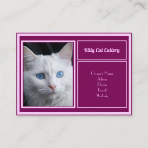 Personalized Business Card For Catteries