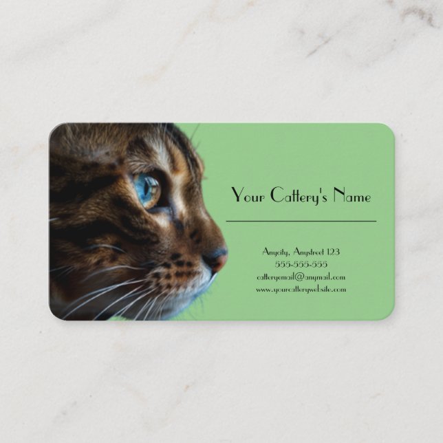 Personalized Business Card For Cattery (Front)