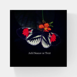 Personalized Butterfly   Paperweight