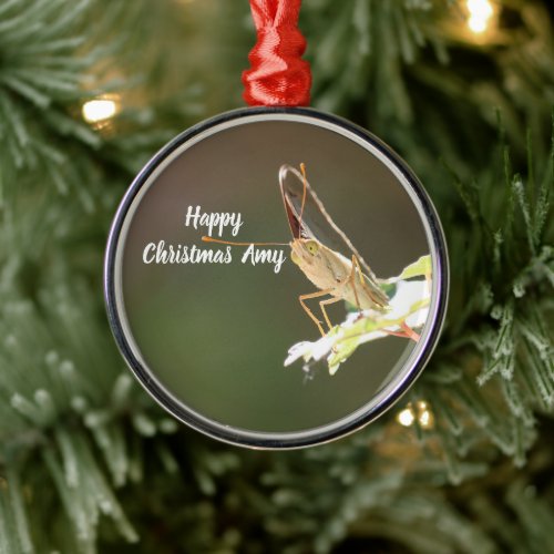 Personalized Butterfly Photo Christmas Ornament