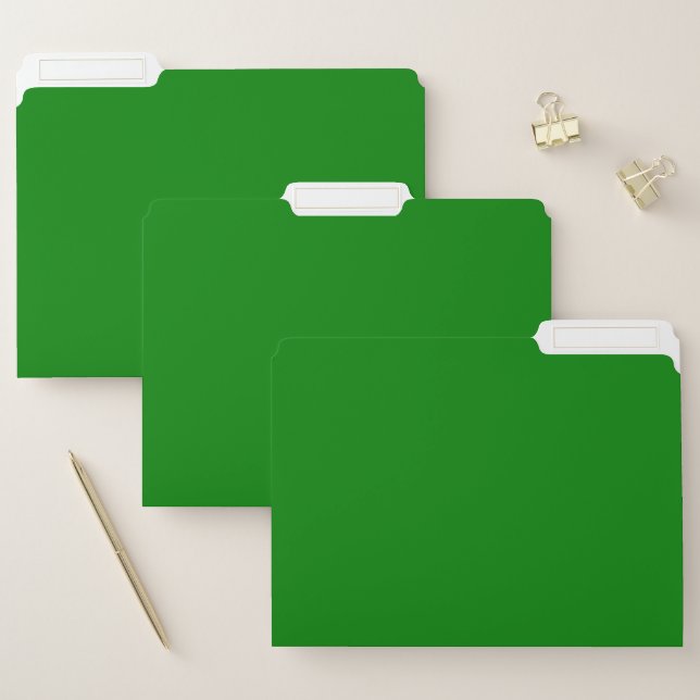 Personalized C Green File Folder – Office Style (Set)