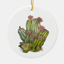 Personalized Cactus & Succulent Ornament