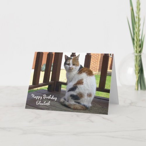 Personalized Calico cat Birthday Card