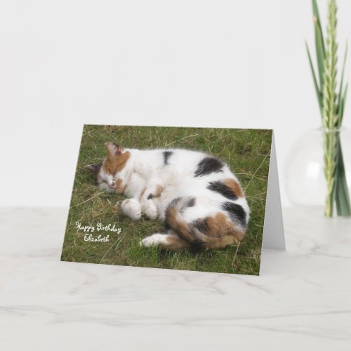 Personalized Calico cat curled up asleep Birthday Card