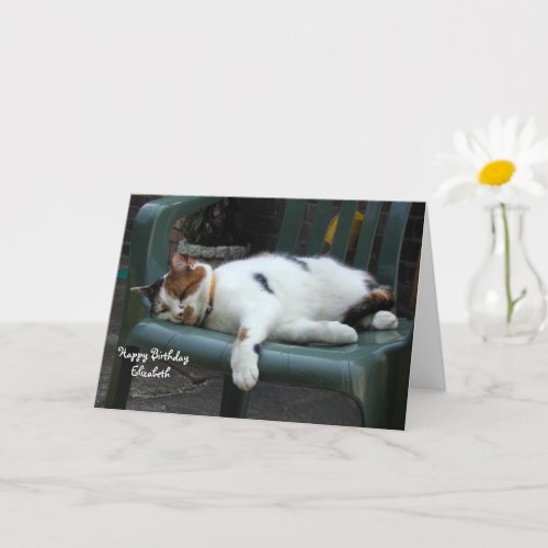 Personalized Calico cat curled up chair Birthday Card