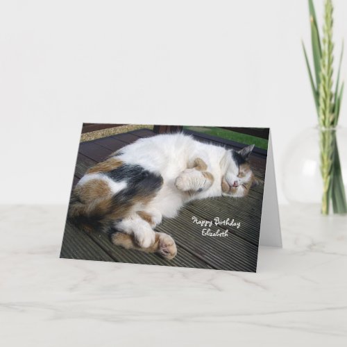 Personalized Calico cat curled up decking Birthday Card