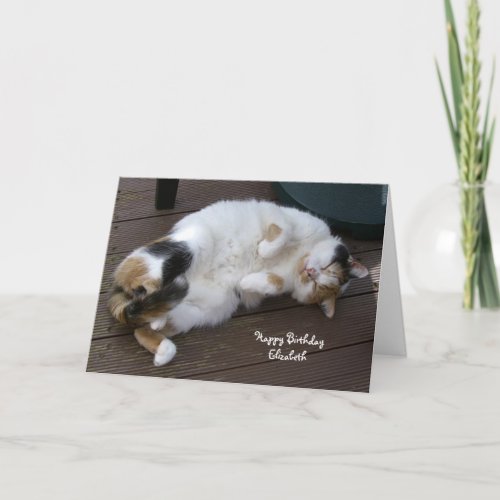 Personalized Calico cat curled up decking Birthday Card