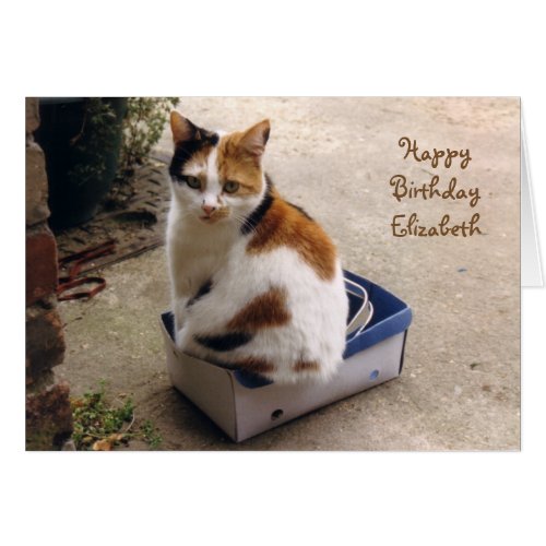Personalized Calico cat sat in a box Birthday