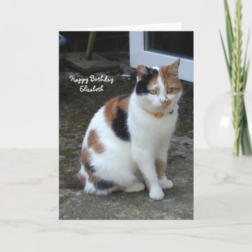 Personalized Calico cat sitting outside Birthday Card