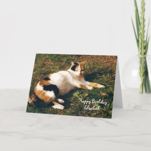 Personalized Calico cat sunbathing Birthday Card