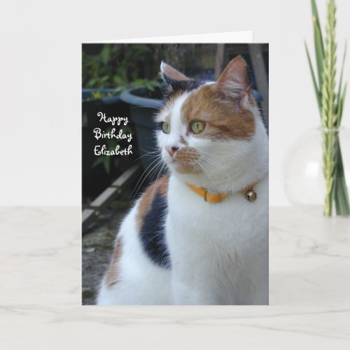 Personalized Calico cute cat Birthday Card