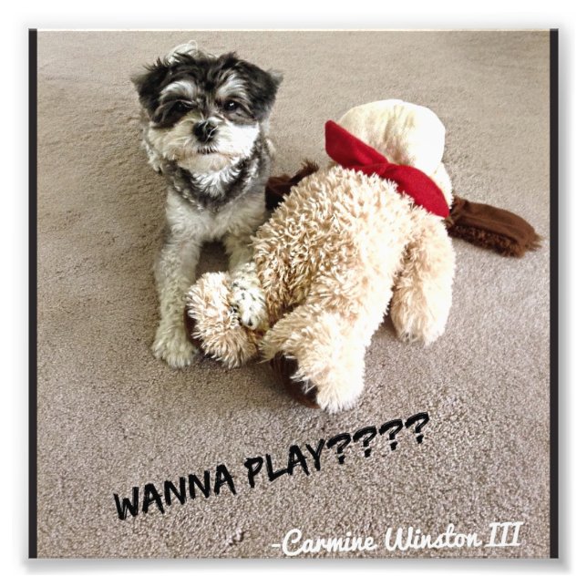 Personalized Carmine Photograph 6x6 (Front)