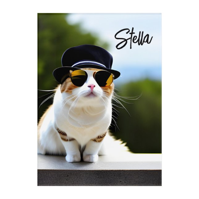 Personalized Cat Acrylic Art (Front)
