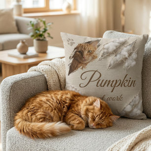 Personalized Cat At Work Scratch Photo Throw Pillow