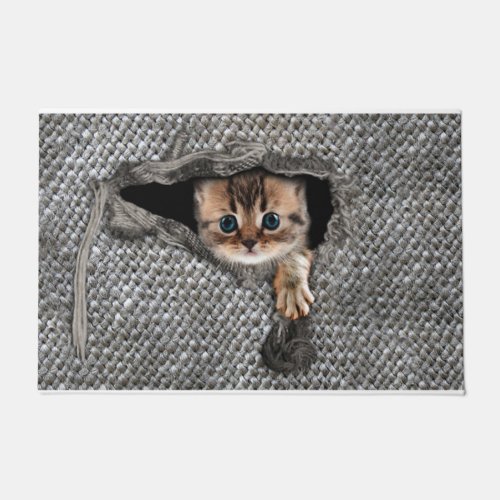 Personalized Cat Doormat Cat Welcome Doormat
