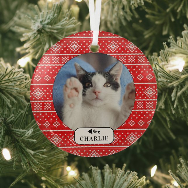 Personalized Cat Fish Red Snowflake Pet Photo Glass Ornament (Insitu)