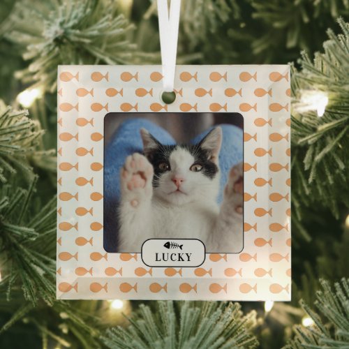 Personalized Cat Goldfish Pet Photo Glass Ornament