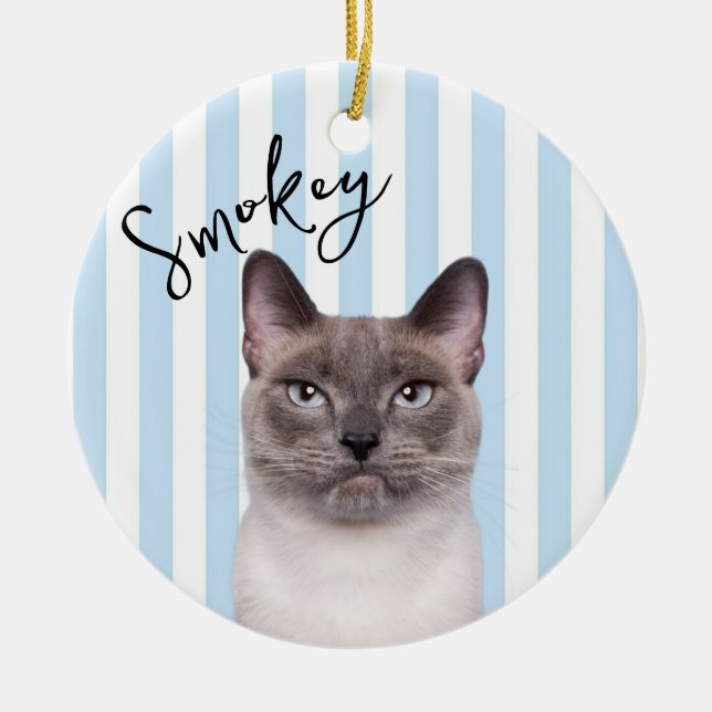 Personalized Cat Memorial Ornament (Front)