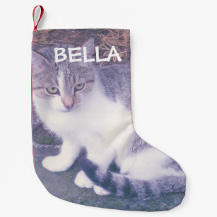 pet photo christmas stockings zazzle
