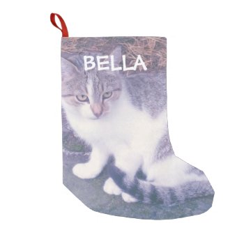 Personalized Cat Or Dog Pet Photo Custom Holiday Small Christmas Stocking by photoedit at Zazzle