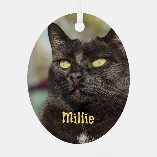Personalized Cat Ornament (Front)