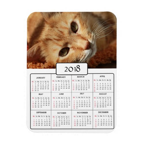 Personalized Cat Photo  2018 Calendar Magnet
