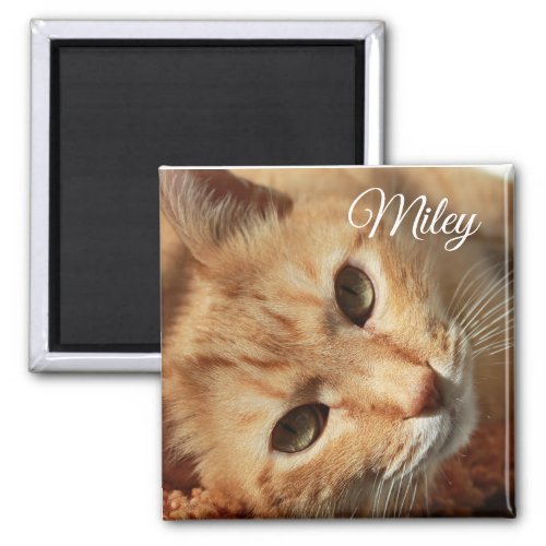Personalized Cat Photo and Name Magnet