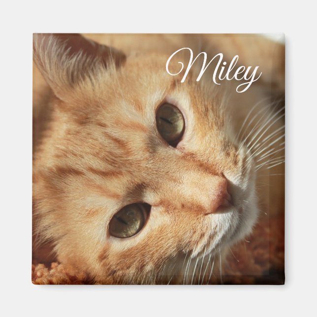 Personalized Cat Photo and Name Magnet (Front)