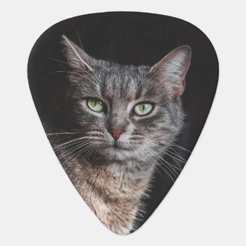 Personalized Cat Photo Cat Lover Guitar Pick
