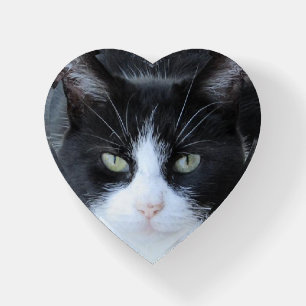 Personalized Cat Photo Paper Weight