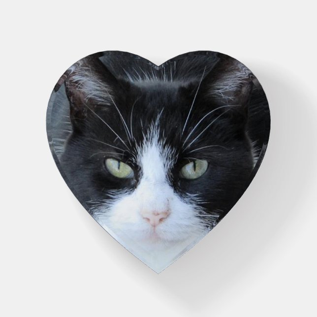 Personalized Cat Photo Paper Weight (Front)
