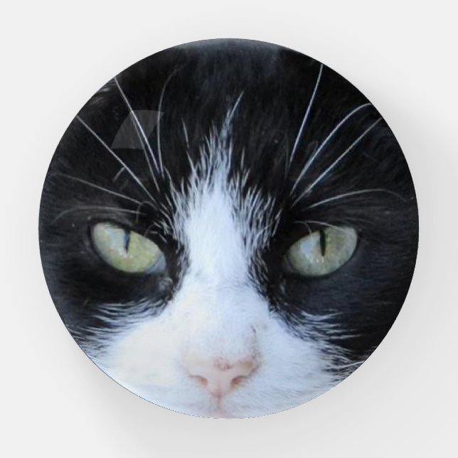 Personalized Cat Photo Paper Weight (Front)