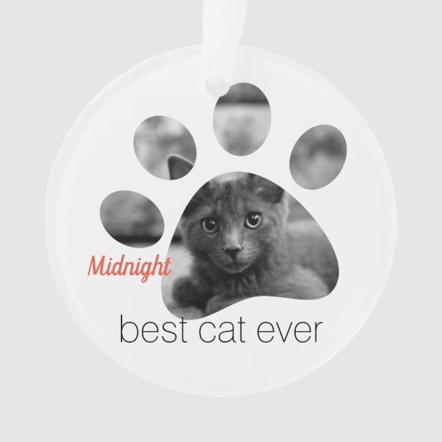 Personalized Cat Photo Pawprint Ornament (Front)