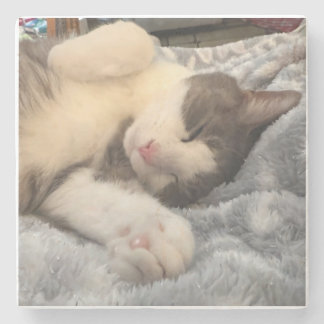 Personalized Cat Photo Pet Lover Gift Stone Coaster