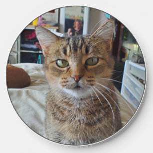 Personalized Cat Photo Wireless Charger