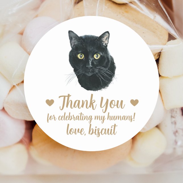 Personalized Cat Wedding Favor Stickers (Creator Uploaded)