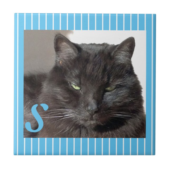 Personalized Ceramic Cat Tile (Front)
